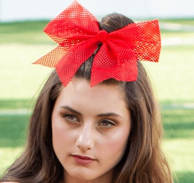 Chasse Mesh Hair Bow