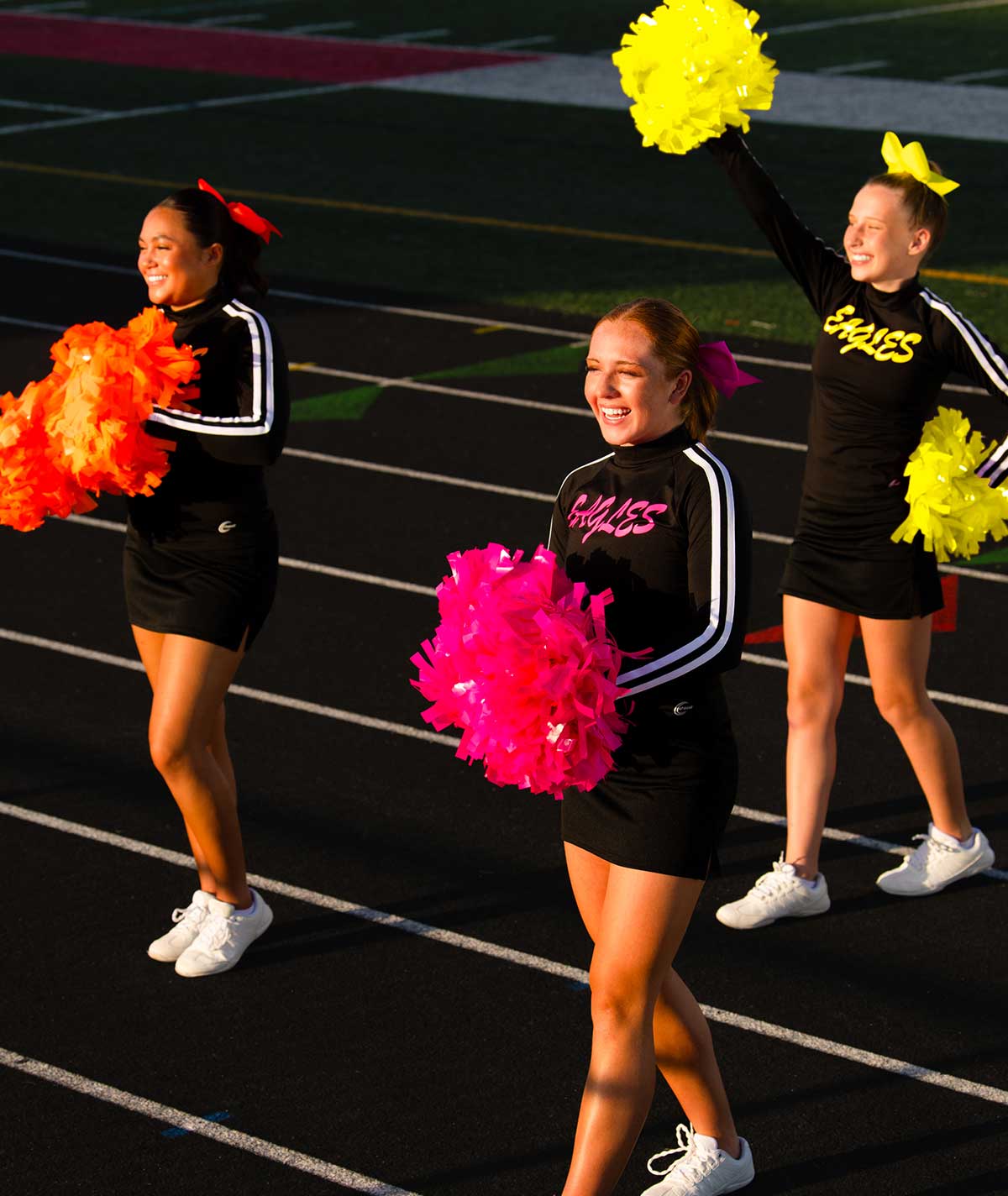 Solid Wet Look 6 Inch Pom